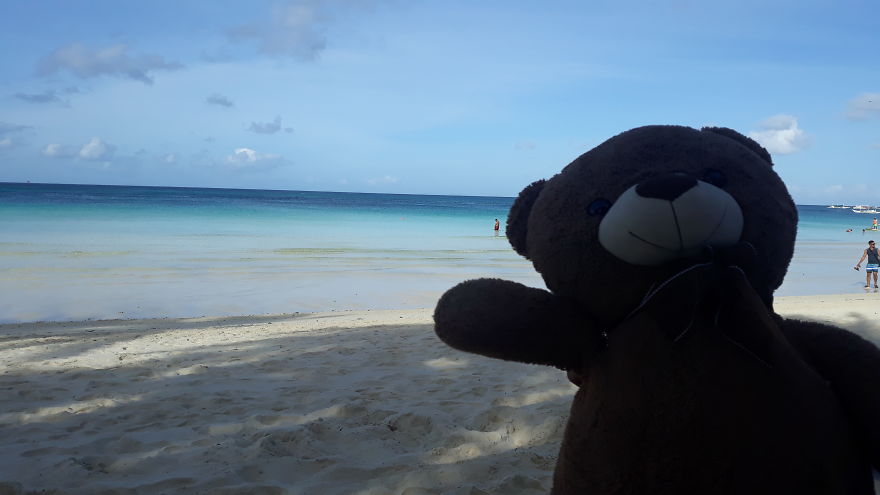 The Adventures Of Milo The Bear