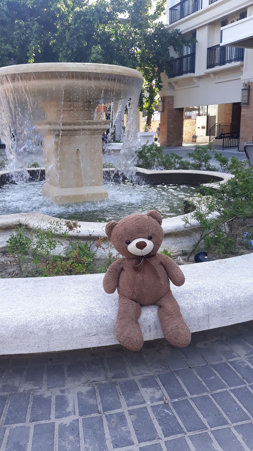 The Adventures Of Milo The Bear