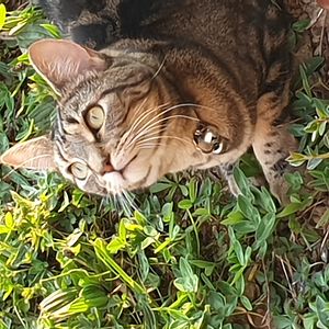 katehargreaves678 avatar