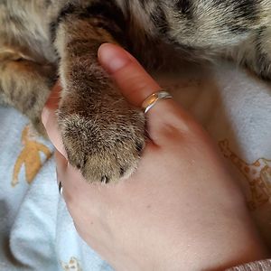 brodycarrawyn137 avatar