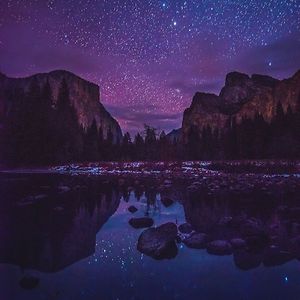 marcellus_forde avatar