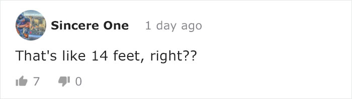 Wild Bobcat Makes This Huge Leap Over The River Seem Effortless And The Video Goes Viral