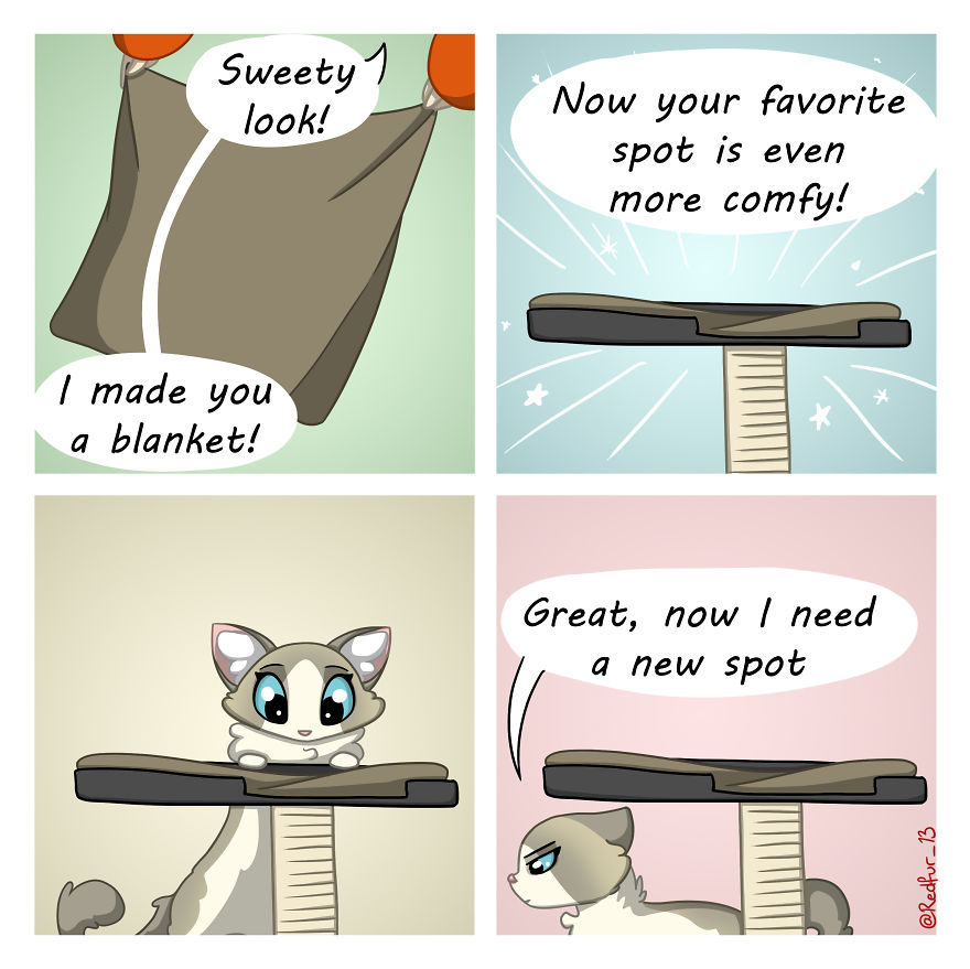 Blanket