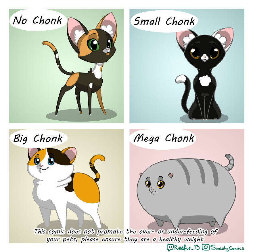 Chonkiness Scale