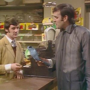 physicsandchemistry avatar