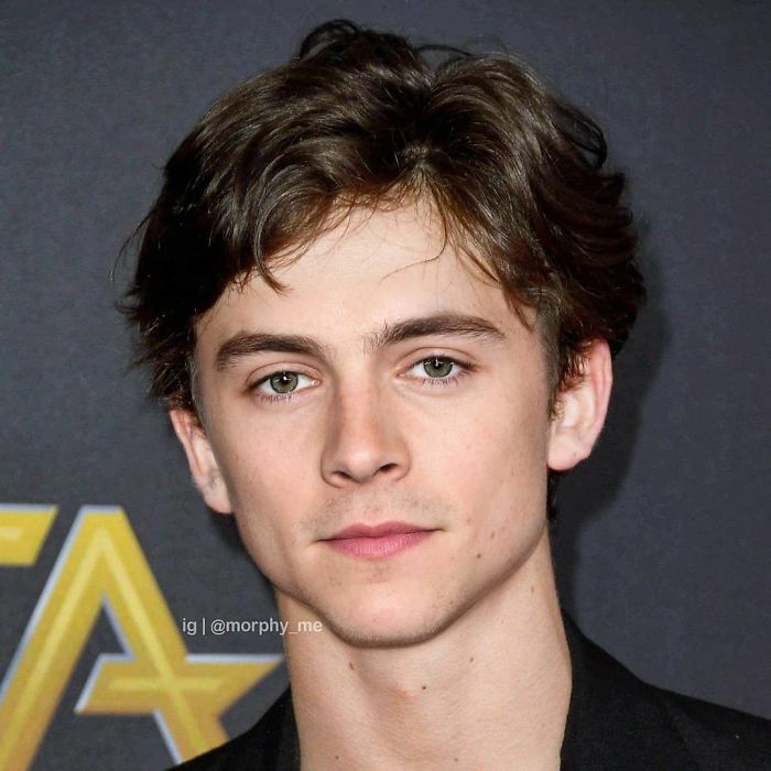 Harry Styles & Timothée Chalamet