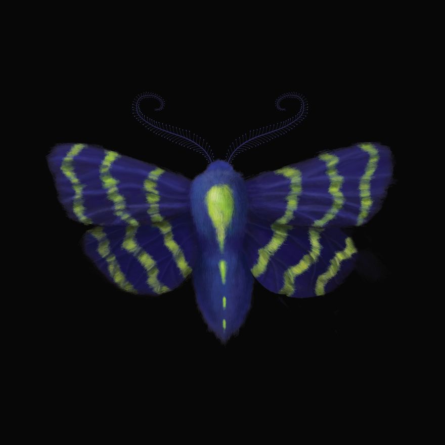 I Created Surreal Moths During Covid-19 Isolation
