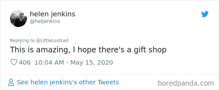 Cat Gets Injured And Can't Leave Home So His Owner Makes Him Art Gallery To Cheer Him Up