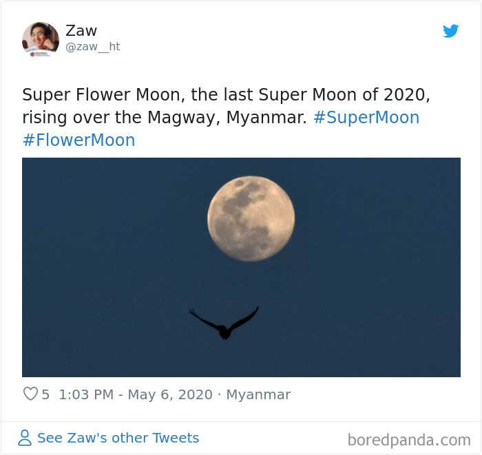 Super-Flower-Moon-May-2020