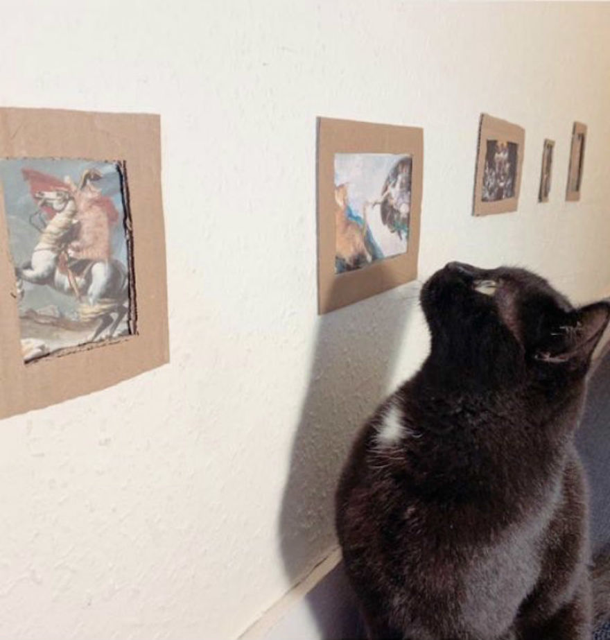 Cat Gets Injured And Can't Leave Home So His Owner Makes Him Art Gallery To Cheer Him Up Cat Gets Injured And Can't Leave Home So His Owner Makes Him Art Gallery To Cheer Him Up