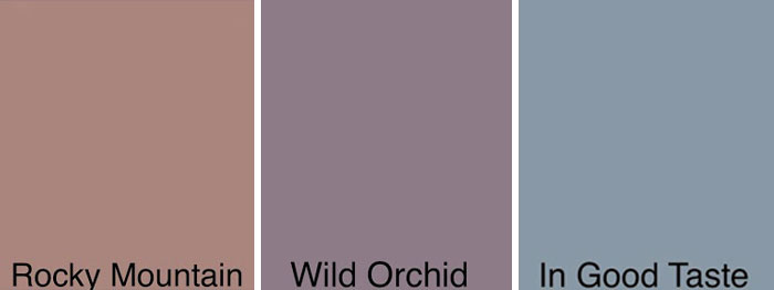 Family Asks Neighbors To Pick Their Next House Color By Creating A Survey, Gets Over 110,000 Votes