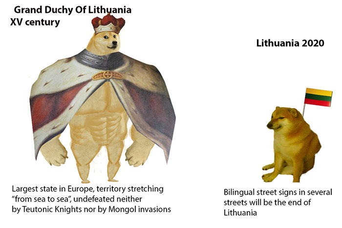 71 Hilarious ‘Then And Now' Dog Jokes