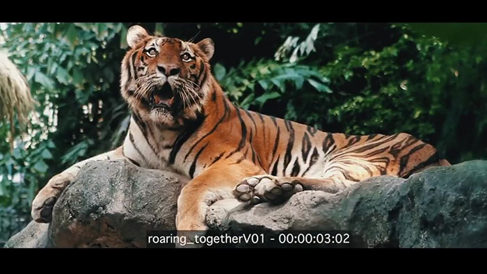 Ryan Reynolds Advertises Mint Mobile By Creating A Hilarious PowerPoint Presentation Ryan Reynolds Advertises Mint Mobile By Creating A Hilarious PowerPoint Presentation