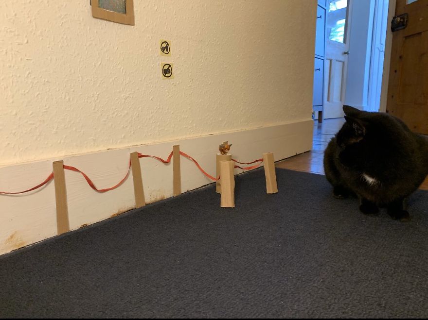 Cat Gets Injured And Can't Leave Home So His Owner Makes Him Art Gallery To Cheer Him Up