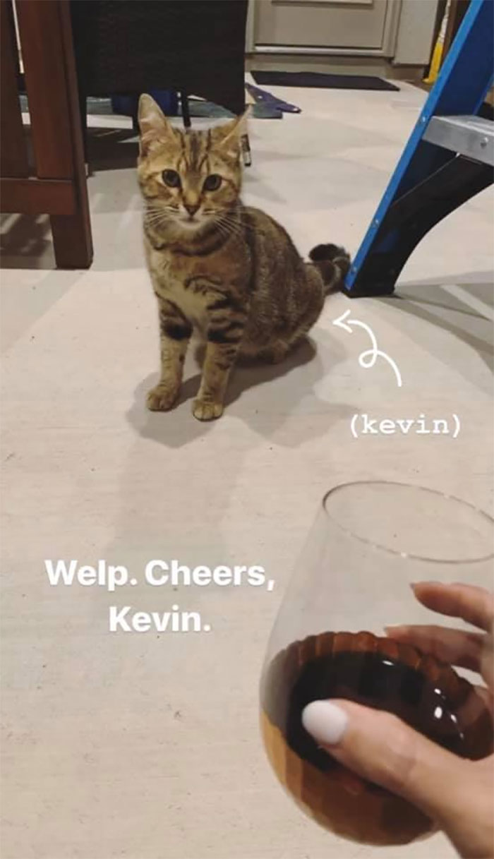 Woman Hilariously Documents Her Attempt To Take Care Of The Cat Who Wouldn't Stop Visiting Her Woman Hilariously Documents Her Attempt To Take Care Of The Cat Who Wouldn't Stop Visiting Her