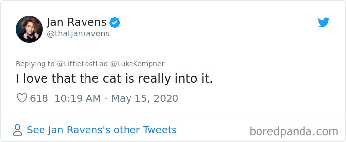 Cat Gets Injured And Can't Leave Home So His Owner Makes Him Art Gallery To Cheer Him Up Cat Gets Injured And Can't Leave Home So His Owner Makes Him Art Gallery To Cheer Him Up