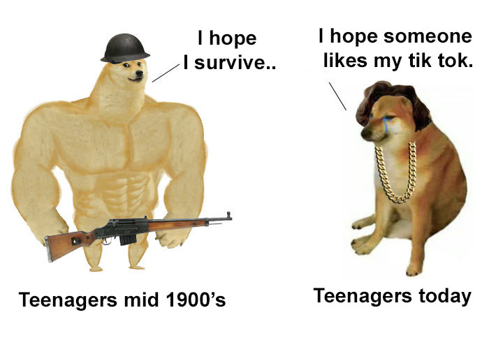 Then-Now-Dog-Meme