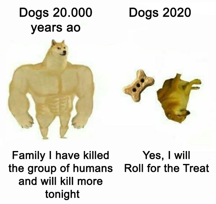 Then-Now-Dog-Meme