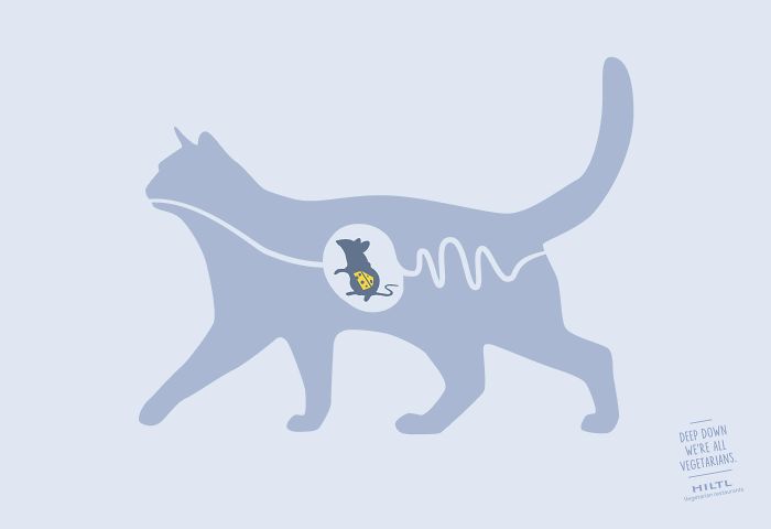 49 Ads Using Cats In A Purrrfect Way