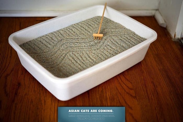 49 Ads Using Cats In A Purrrfect Way