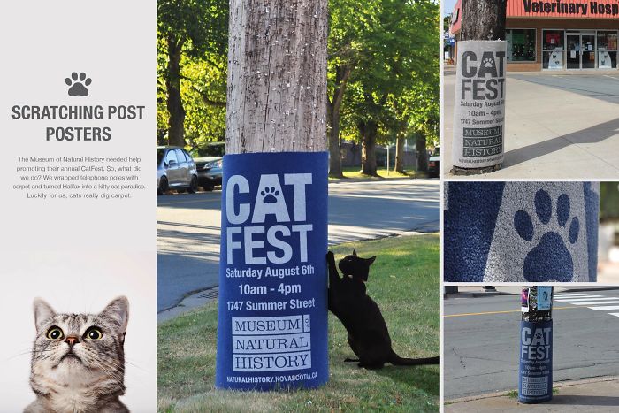 49 Ads Using Cats In A Purrrfect Way