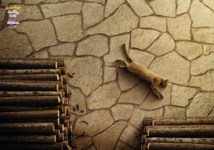 49 Ads Using Cats In A Purrrfect Way