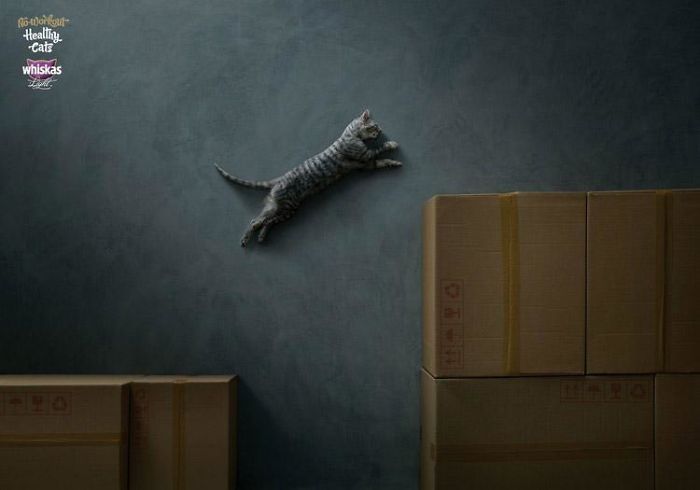 49 Ads Using Cats In A Purrrfect Way