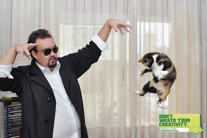 49 Ads Using Cats In A Purrrfect Way