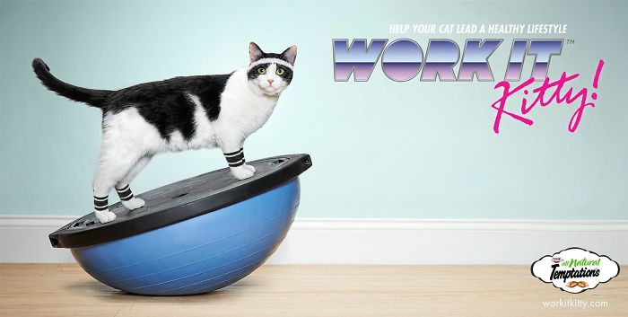 49 Ads Using Cats In A Purrrfect Way
