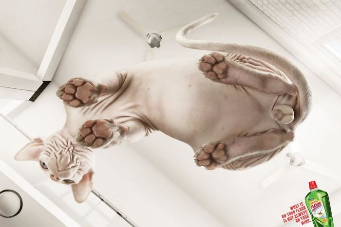 49 Ads Using Cats In A Purrrfect Way