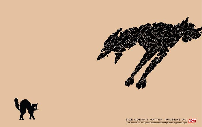 49 Ads Using Cats In A Purrrfect Way