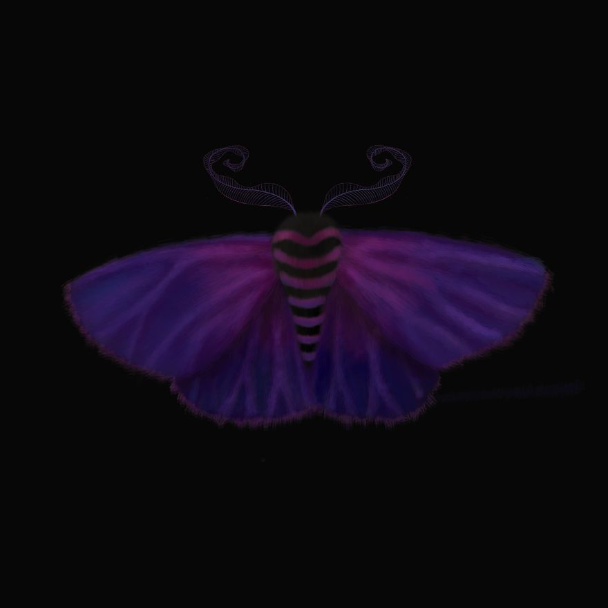 I Created Surreal Moths During Covid-19 Isolation