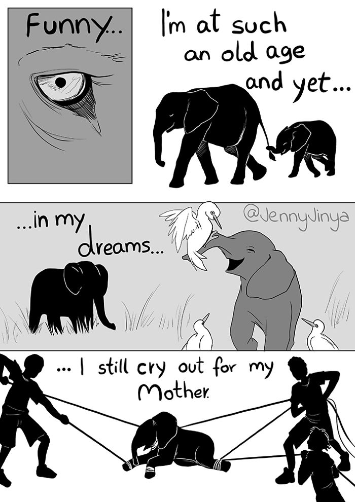 Artist Who Made People Cry With Her &lsquo;Good Boy&rsquo; And &lsquo;Black Cat&rsquo; Comics Is Back, And This Time It&rsquo;s About Elephants