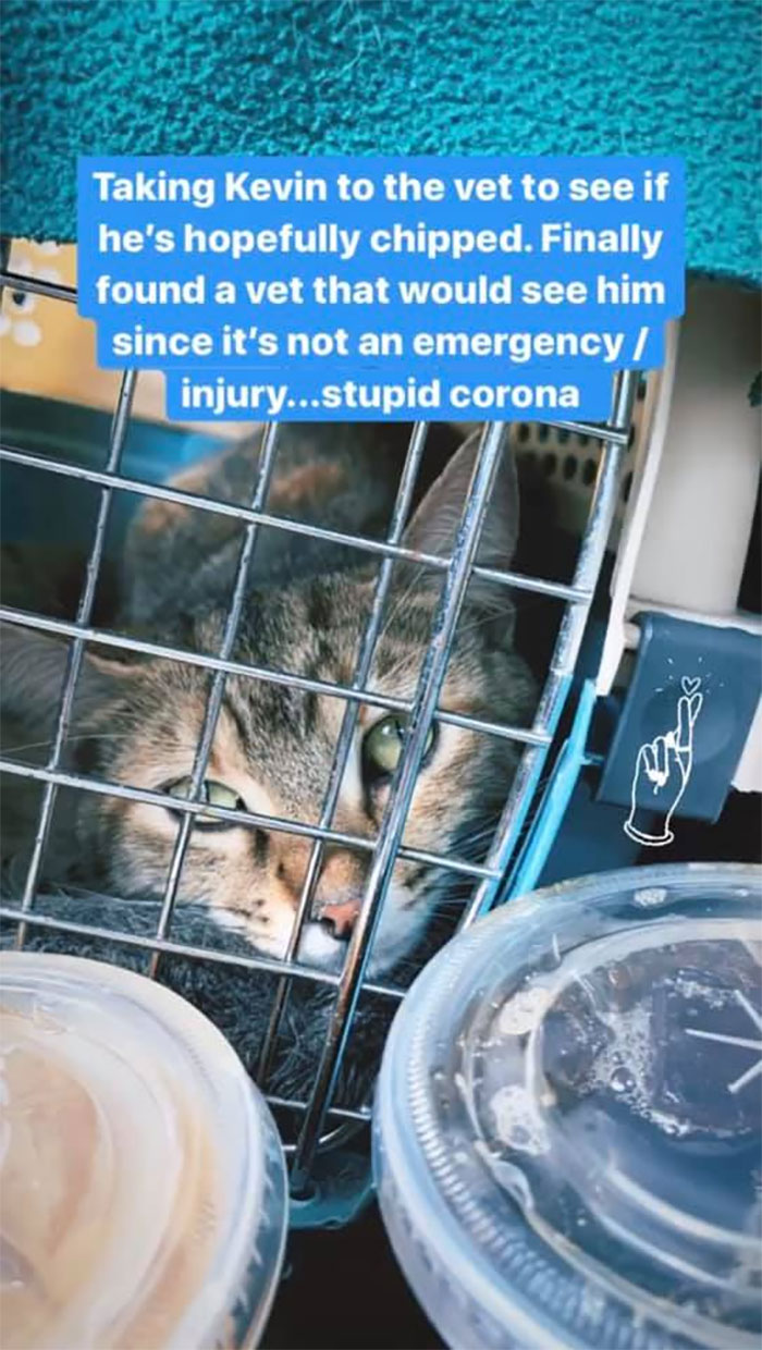 Woman Hilariously Documents Her Attempt To Take Care Of The Cat Who Wouldn't Stop Visiting Her Woman Hilariously Documents Her Attempt To Take Care Of The Cat Who Wouldn't Stop Visiting Her