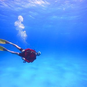 nadav.barkama avatar