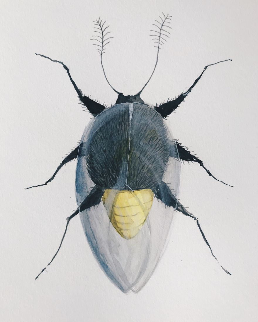 I Made These Surreal Insects Combining Only Black And Yellow Watercolor