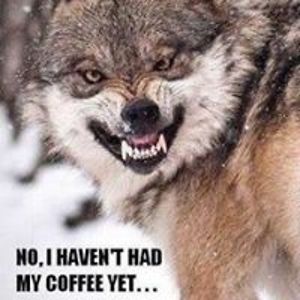 eddysandra1955 avatar