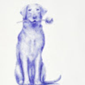 cheyennevirrill avatar