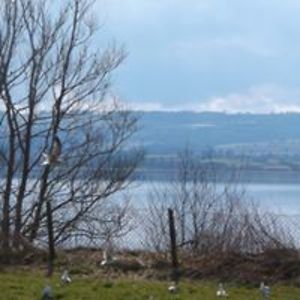 jannasayed15113 avatar