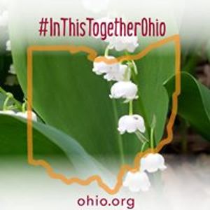 catherinerauch avatar