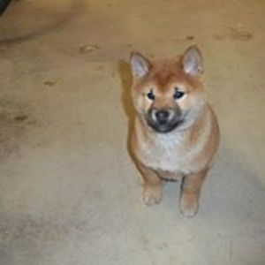 pamschreiber245 avatar