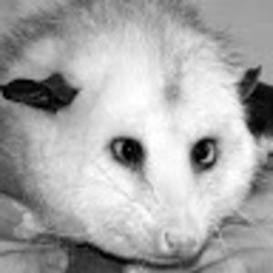 alanbardnewcomer avatar