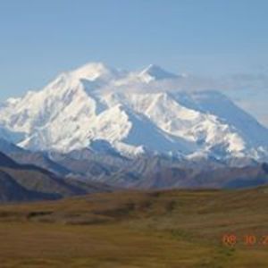 Dorene Leibelsperger