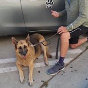 stargalaxie49 avatar