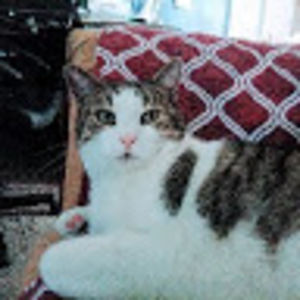 savannahbouvier avatar