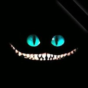 kaydence_ohern123 avatar