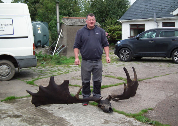 10,000 Year Old Skull Of An Extinct Giant Irish Elk Found By This Farmer