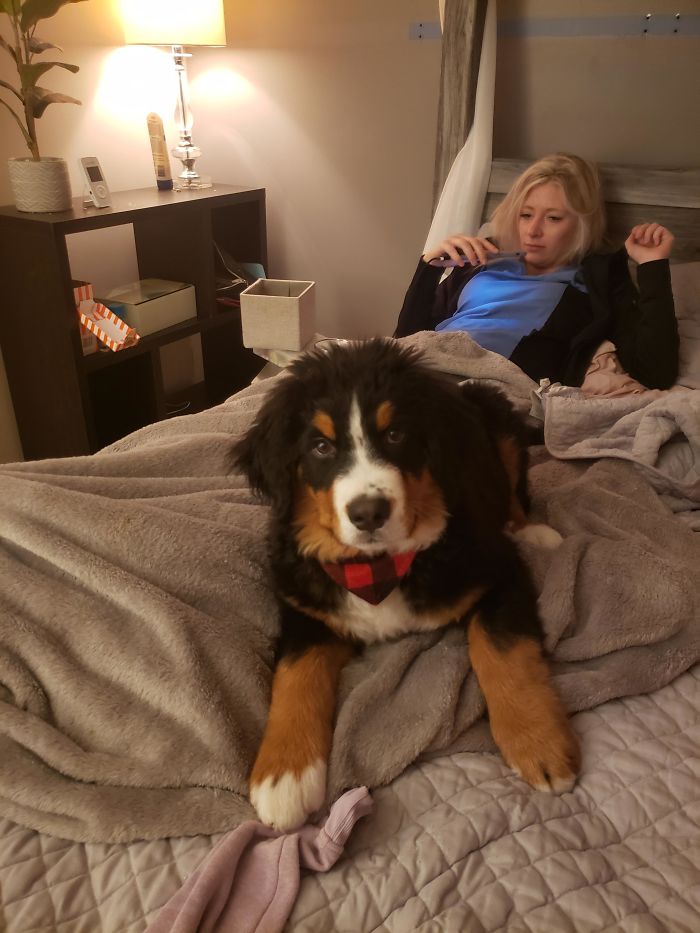 This Is My Bed Now Dad