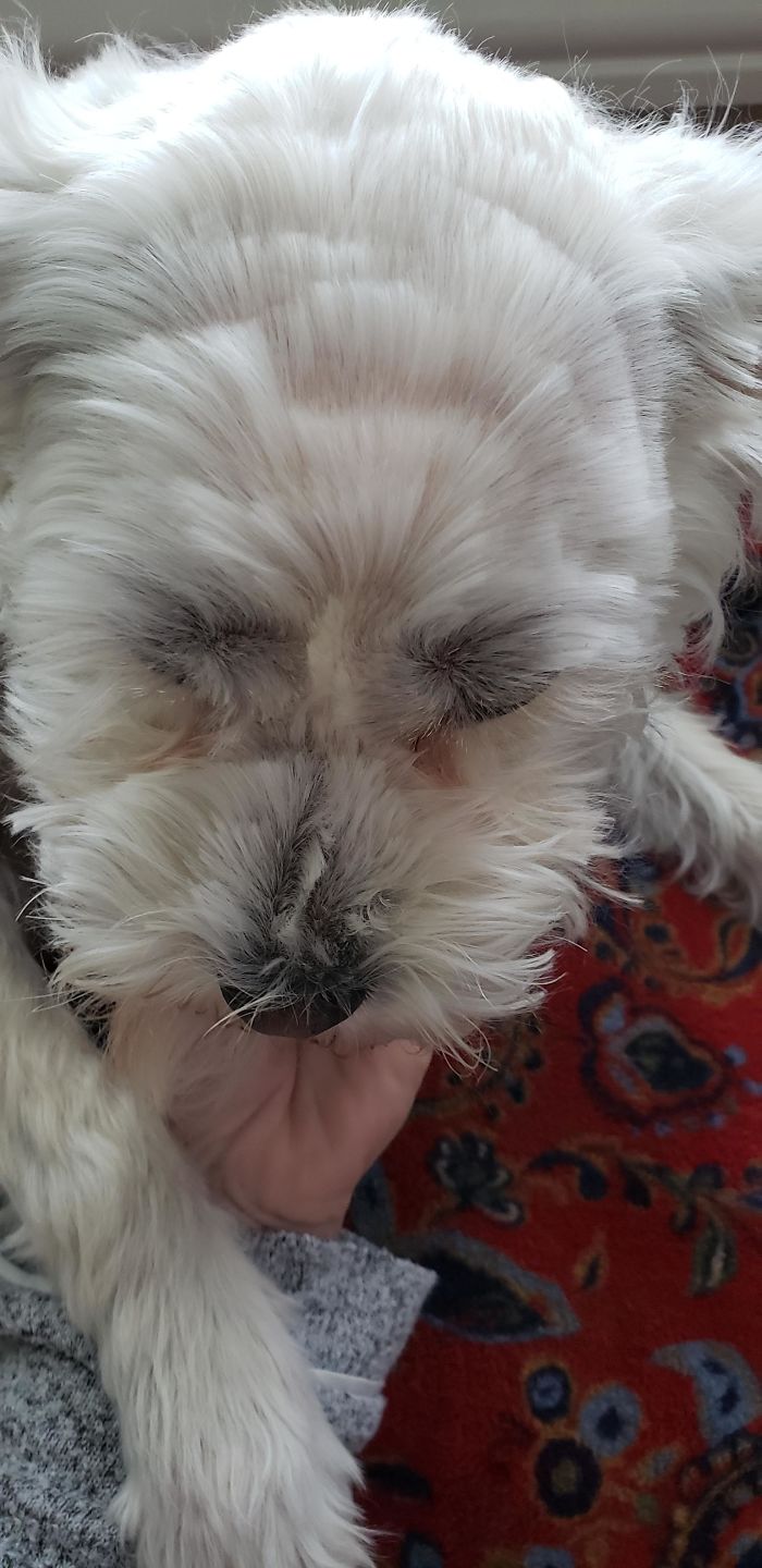 My Mom Gave Her A Haircut