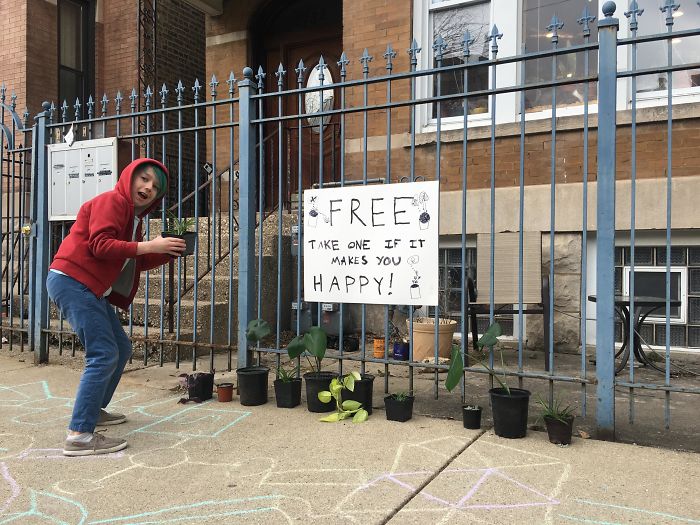 My Son And I Made Little Plant Babies From Cuttings For Neighbors Out On Walks To Take Home